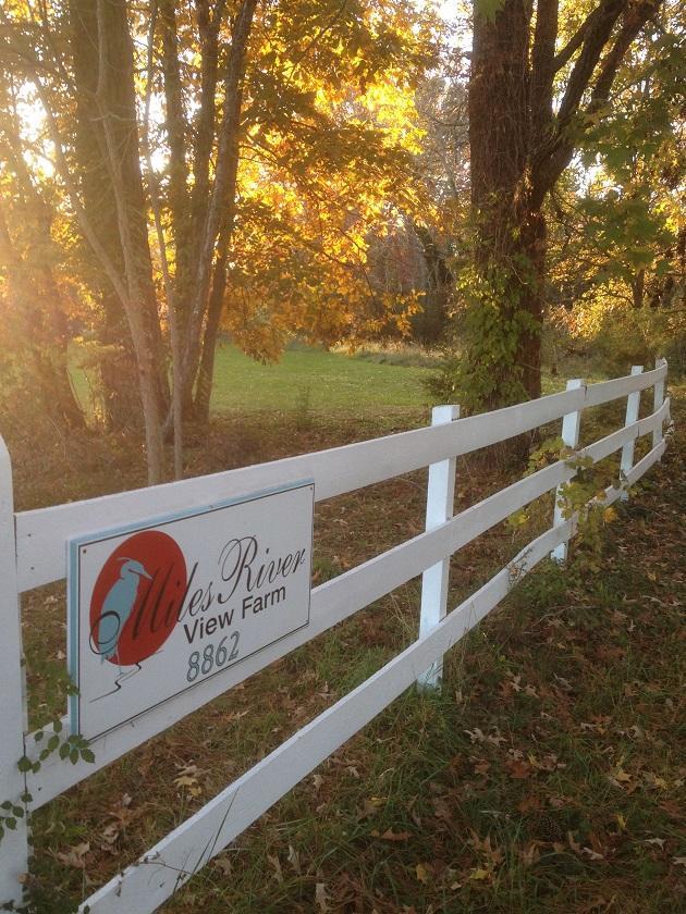 Miles River Guest House Easton Exterior foto